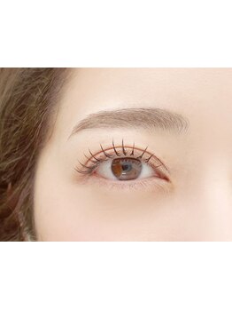 初めての方にオススメ