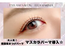 エルプラス 播磨店(elu+)の雰囲気（韓国で大流行のマスカラパーマ導入◎韓国風まつげお任せください）