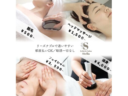 ステラ(Stella)の写真