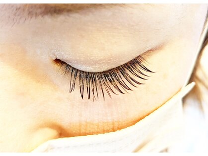 カミビトプラス アイラッシュ(KamiBito +plus)の写真