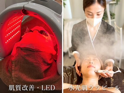 ビビ(VIVI)の写真