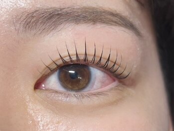 グラシア 東海店(GRACIA)/まつげパーマ/まつ毛パーマ
