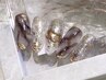 【定額ネイル】リッチデザインネイルコース　¥10980
