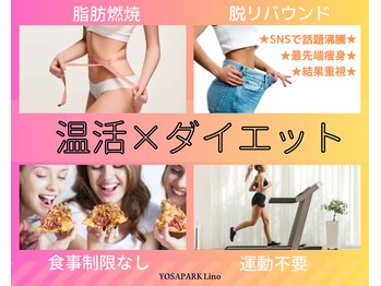 ヨサパーク リノ(YOSA PARK Lino)