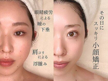 ホワイトカメリア(White Camellia)の写真