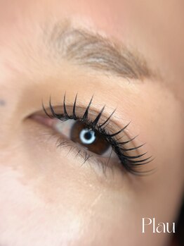 プラウ(Plau)/フラットラッシュ付け放題