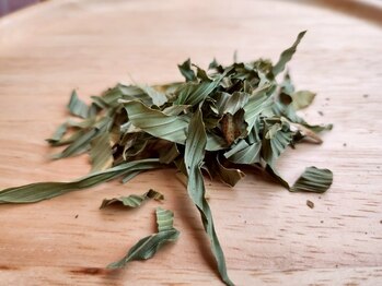 ナチュリス(Natulis)/クマザサ(当店で使用するハーブ)