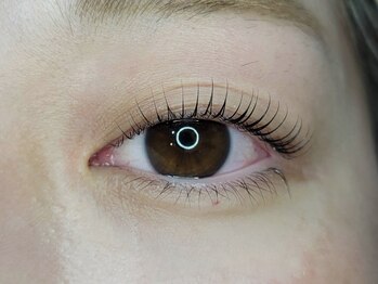 グラシア 東海店(GRACIA)/まつげパーマ/まつ毛パーマ