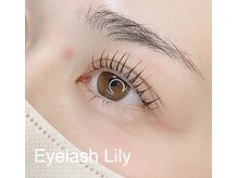 アイラッシュリリィ(Eyelash Lily)/立ち上げストレート
