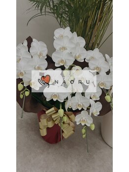 ナオル整体 目黒院(NAORU整体)/