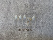 シアン(CYAN)/2025.AW