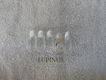 シアン(CYAN)/2025.AW