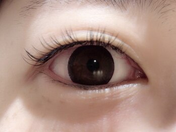 カラン 焼津店(CALIN)/フラットラッシュ100本