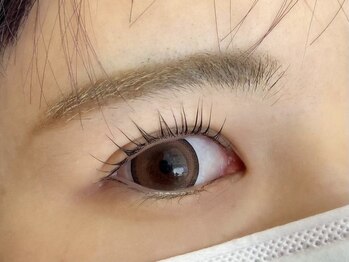 エイトアイラッシュ 井荻店(eight eyelash)/次世代まつ毛パーマ