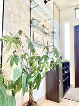 アイラッシュサロン ブラン 新潟西店(Blanc)/開放感のある店内