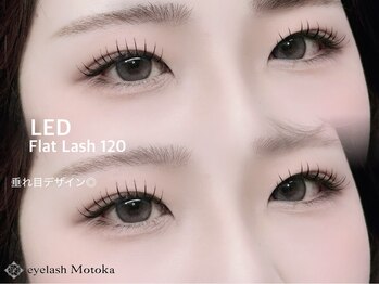 アイラッシュ モトカ(Motoka)/LEDフラットラッシュ120