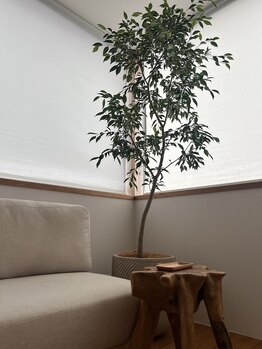 ルナ(LUNA)/2F salon space