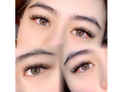 ヘラ(HERA)の写真