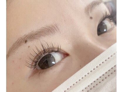 ネマウム(nemaum)の写真