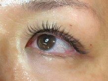 ウルカ アイラッシュ(uruka EYELASH)/フラットラッシュ　200本