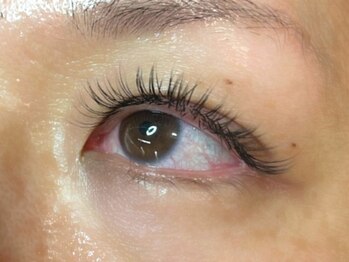 ウルカ アイラッシュ(uruka EYELASH)/フラットラッシュ　200本