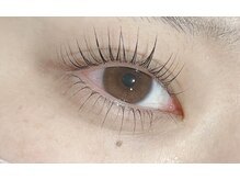 ルピナス(Lupinus)/パリジェンヌ上下