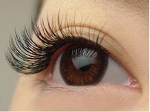 サーカス(circus)/フラットラッシュ120本