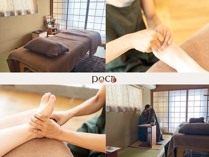 ポコ(poco)の写真