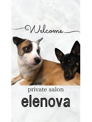 elenova からお客様へ()