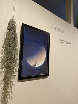 ルナ 新宿御苑店(LUNA)/月のイメージで