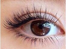 アリエル(Ariel)/セーブル上下つけ放題