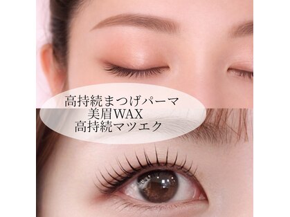 コーラル(coral)の写真