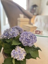 かぐや(salon)/salonのお花♪ フリンジ紫陽花