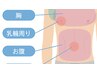 【上半身脱毛】2回目以降も使える!上半身8ヶ所から選べる4ヵ所 　13900