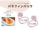 リリー(Lilly)の写真