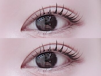 リノ(Lino)/立ち上げ×カール