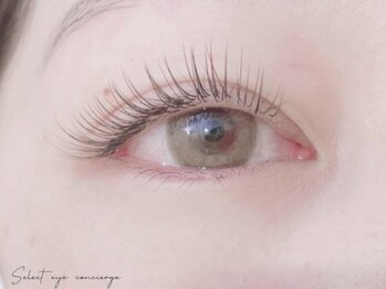 セレクト アイコンシェルジュ 新宿店(SELECT eye concierge)の写真/【フラットラッシュ上130本¥6980】軽い付け心地［新宿/アイブロウ/まつ毛パーマ/まつげ/フラットラッシュ]