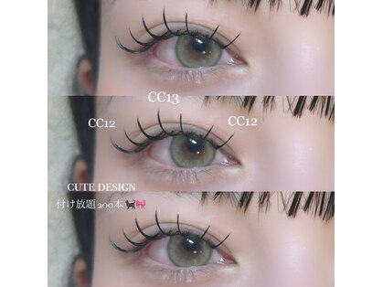 目彩(meisa)の写真