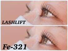 エフイーサンニーイチ(Fe-321)/