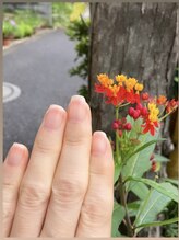 桃の木 吉祥寺店/