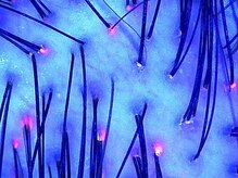 ミエリフル(Miel et Fleurs)/頭皮匂いが気になるお客様施術前