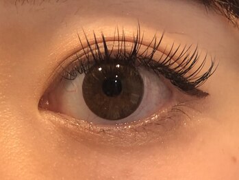 シェリール(Cherir)/