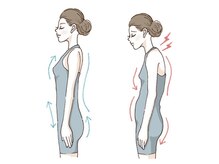 カイロプラクティック シュラーフ/美の三大アーチが小顔をつくる