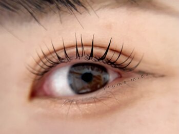 プルームミコ(Plume mico)