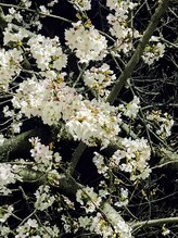 リラクゼーション整体 りめいく&nbsp;坂本 