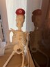 【ボディメニュー】はこちらから↓