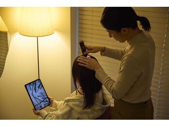 アンジール(ANJIR)/ホロスコープ