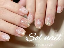 ネイル/マグネット/韓国/チーク/定額/パラジェル/フィルイン