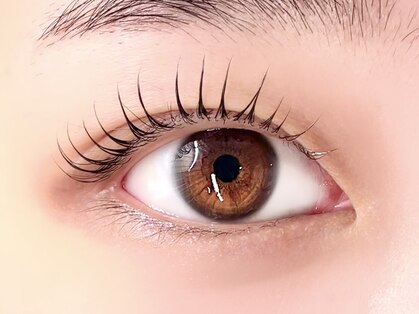 マツ(MATSU)の写真