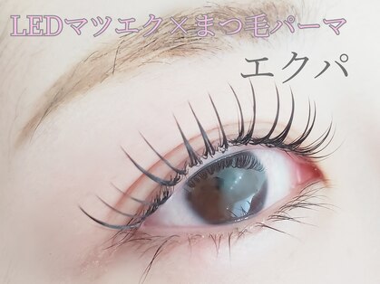 Eyelash Salon　Luna llenaの写真